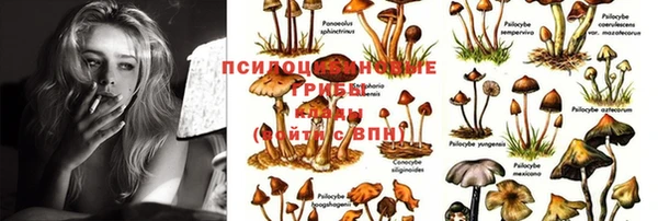 герыч Костерёво